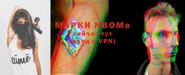 spice Лагань