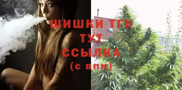spice Лагань