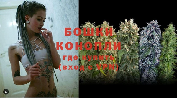 ешки Белокуриха